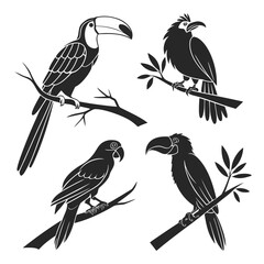 Silhouettes of exotic birds on branches © RABBY