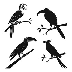 Collection of bird silhouettes © RABBY