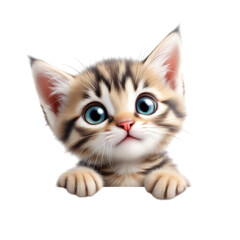 Obraz premium A curious kitten with blue eyes peeking over a surface on transparent background