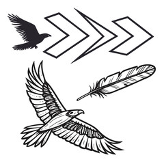 Fototapeta premium Bird silhouettes and feather illustration