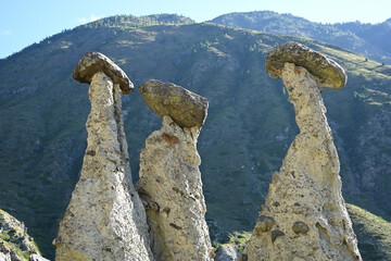 Stunning scenery of the stone mushrooms natural rock formations in the Altai Reserve
