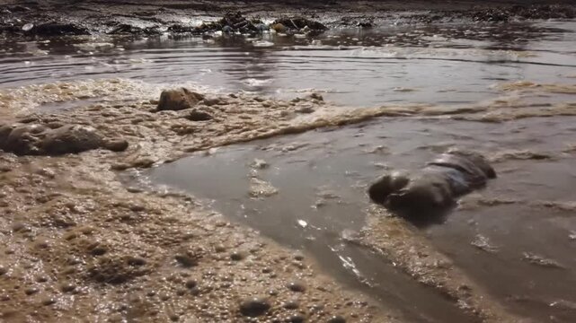 Close-up view of bubbling mud in a natural landscape, showcasing rich textures and earthy tones