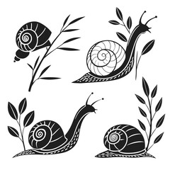 Black and white snail illustrations © rabbi