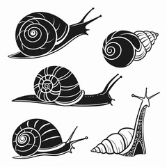 Collection of snail illustrations © rabbi