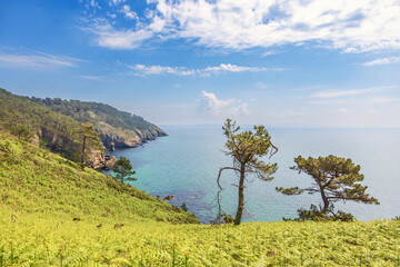 Obraz premium Scenic view at a rocky coast with the horizon on the sea