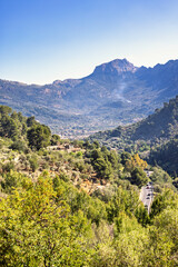 Naklejka premium View at a road in an mountain valley with lush green trees