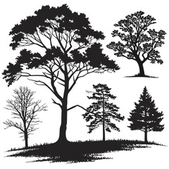 Obraz premium Silhouettes of various trees
