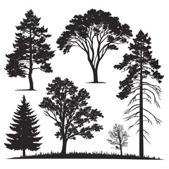 Silhouettes of various trees © rabbi