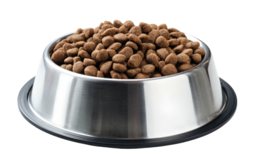 Close-up of a stainless steel bowl filled with dry, brown pet food kibble