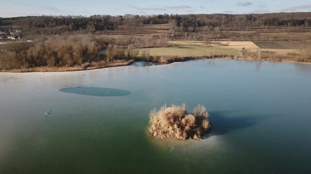 Drone makes a gentle helix orbit around a tiny reed‑covered island in a calm lake, revealing surrounding bare winter trees and distant flat countryside.