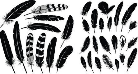 Vector collection of bird feathers in black and white silhouette style, featuring diverse wing quill plumes and decorative artistic feather sketches for graphic design © MstNur