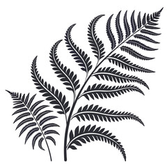 Naklejka premium Black and white fern illustration