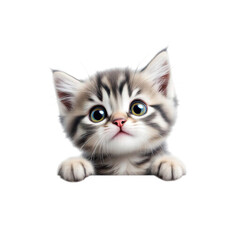 Obraz premium A curious kitten peeking over an edge on transparent background