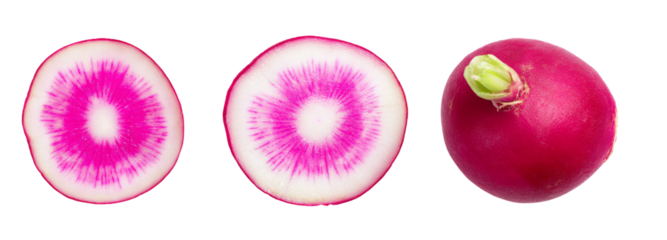 Slicing radishes for culinary use kitchen food photography transparent background close-up