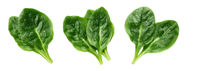 Fresh spinach leaves on transparent background nature food photography green environment