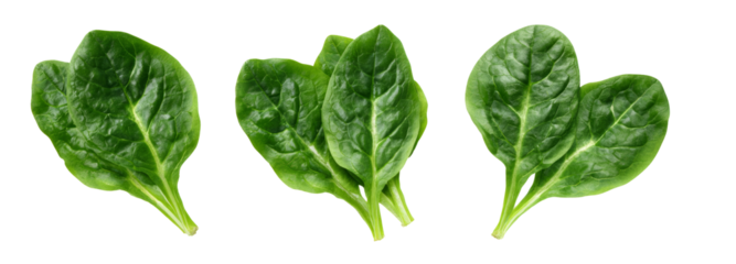Fresh spinach leaves on transparent background nature food photography green environment