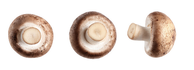Fresh mushrooms on transparent background food photography culinary inspiration nature vibes