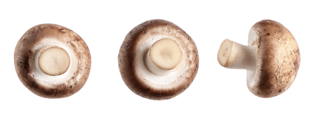 Fresh mushrooms on transparent background food photography culinary inspiration nature vibes