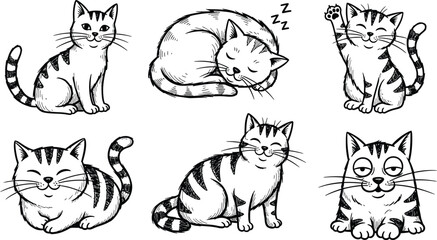 Fototapeta premium cat sticker vector. Lovely kitten doodle pattern in different poses and breeds. Adorable funny pet and many characters hand drawn collection for T-shirt, sticker, print, pet shop.
