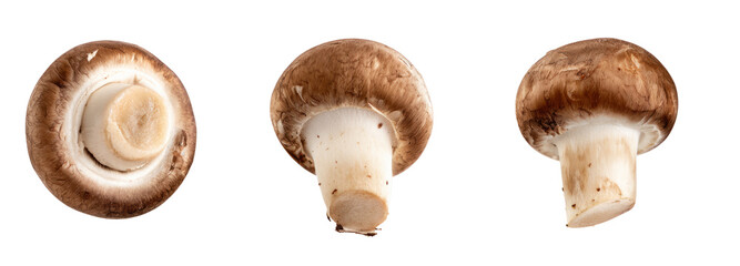 Fresh mushrooms displayed on transparent background kitchen food photography studio close-up