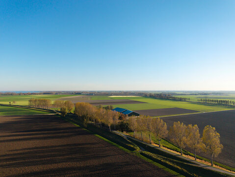 Autumn polder landscape with fields and trees in the Netherlands