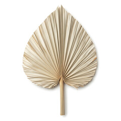 Dried Palm Leaf Fan Decoration - Natural Earthy Home and Event Decor