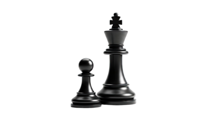 Black King and Pawn Chess Pieces