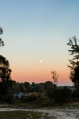 Moon in Pastel Sunset Sky with Tree Silhouettes