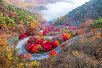 충북 단양군 보발재의 가을풍경