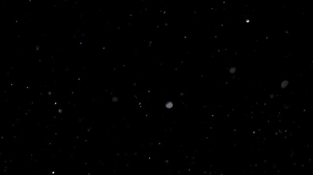 Dust Particles, Glitter Stock Footage Use Black Background