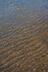 Shallow Water Ripples Over Sandy Seabed