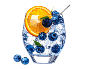   Gin Tonic en Copa Balón con Arándanos y Rodaja de Naranja, Estilo Mixología Elegante, Aislado en Fondo Transparente