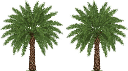 Fototapeta premium Realistic Palm Tree Illustration Set Featuring Tropical Green Palms for Summer Beach Nature Landscape Vector Design