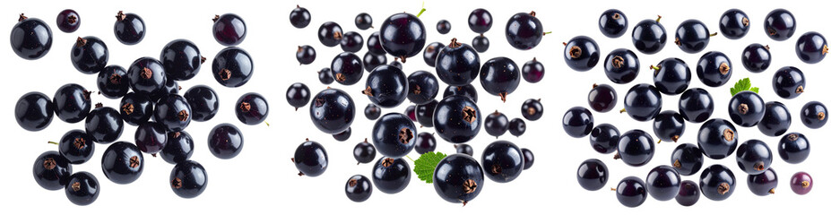 Floating Black Currants with Natural Shine, Sharp Detail, Isolated on Transparent Background