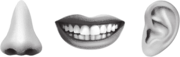 A grayscale composition featuring a nose a smiling mouth and an ear
