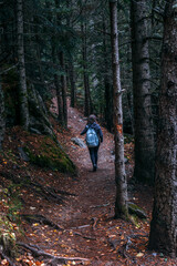 Fototapeta premium Hiker with Backpack Walking on a Forest Trail to Sant Maurici, Spain
