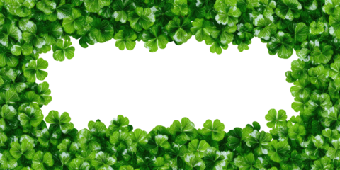 A frame of vibrant green clover leaves outlining a black rectangle, a background for text or images