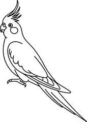 Obraz premium Adobe Illustrator Artwork