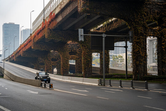 Autumn climbing vines under the Second Ring Elevated Road in Chengdu, Sichuan
