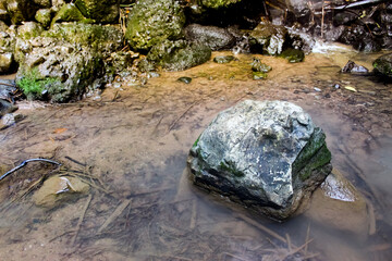 Potrait of rocks in the river