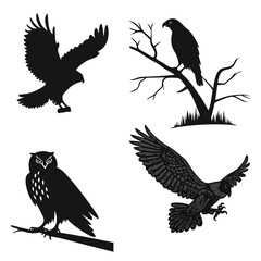 Obraz premium Bird silhouettes