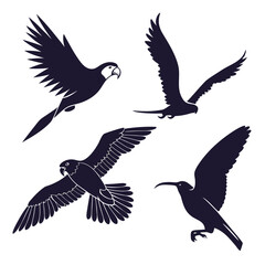 Obraz premium Silhouettes of flying birds