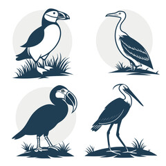 Bird silhouettes © Rajiya