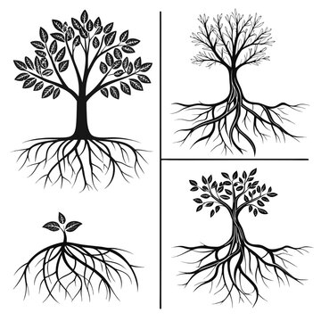 Tree silhouettes with roots