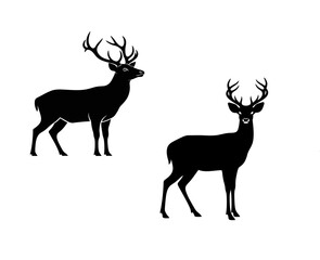 Obraz premium Silhouettes of two deer