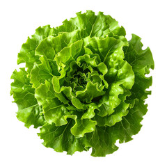 Overhead shot of a whole, vibrant, green head of lettuce against a black backdrop