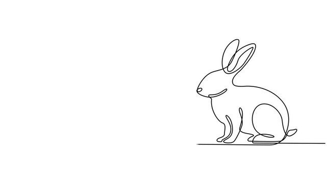 Continuous one line drawing of Easter Bunny rabbit, Self drawing line animation Easter Bunny Cute rabbit silhouette with ears continuous one single line drawn concept video, 4K Stock video Animated.