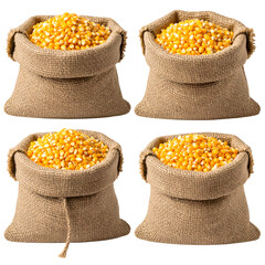 Four jute sacks filled with bright yellow corn kernels, studio shot, against a black background