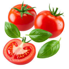 Fresh ripe tomatoes, one sliced open, with basil leaves, on a transparent background
