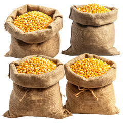 Four burlap sacks filled with yellow kernels, presumably corn, displayed on a solid surface